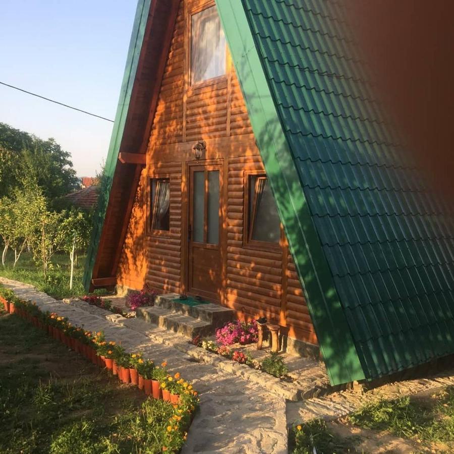 Вилла Banjska Brvnara Врнячка-Баня Экстерьер фото